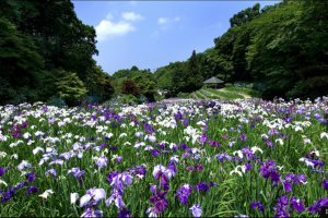 素敵な旅を