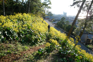 素敵な旅を