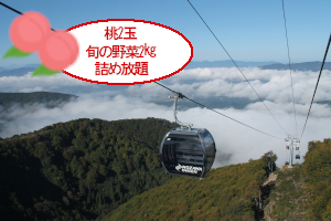 素敵な旅を