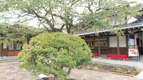 江口だんご 摂田屋店