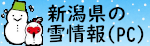 新潟県の雪情報(PC版) ※新潟県 知事政策局