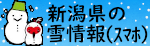 新潟県の雪情報(スマホ版) ※新潟県 知事政策局