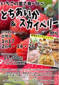 とちあいか＆スカイベリー狩り