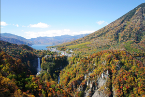素敵な旅を