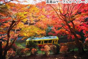 素敵な旅を