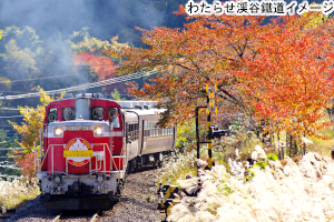 素敵な旅を