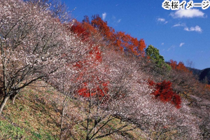 素敵な旅を