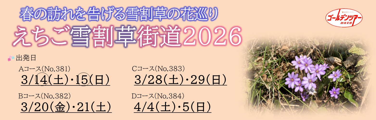 えちご雪割草街道2026 えちご雪割草街道2026