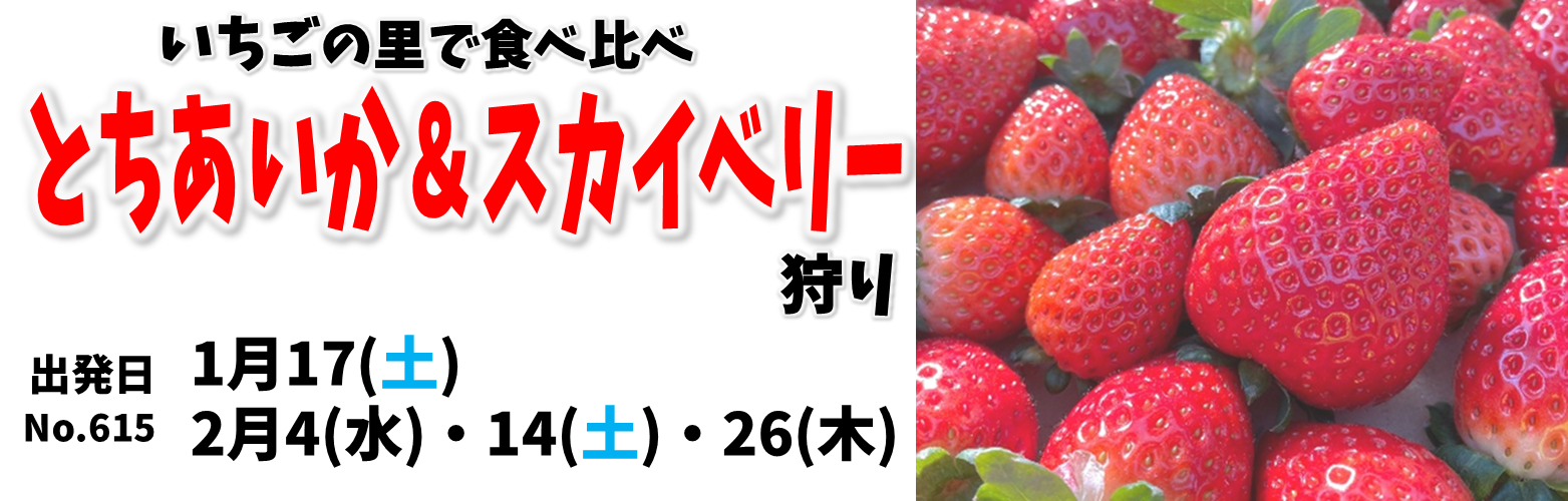 とちあいか＆スカイベリー